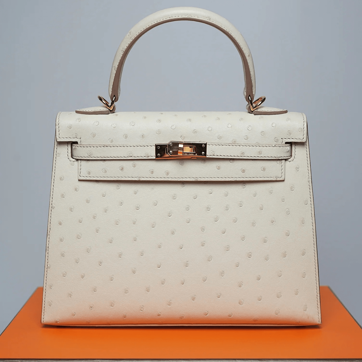 Hermès Kelly 25 In Concrete Ostrich Leather With Gold Hardware