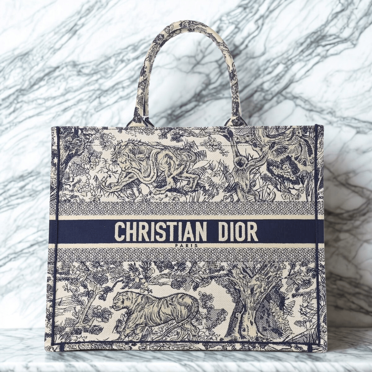 Dior Large Book Tote Bag