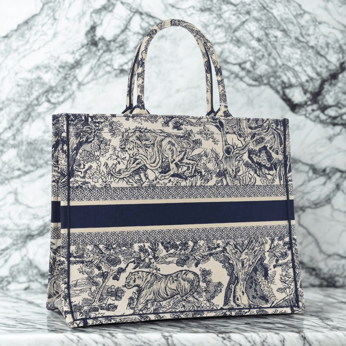 Dior Large Book Tote Bag