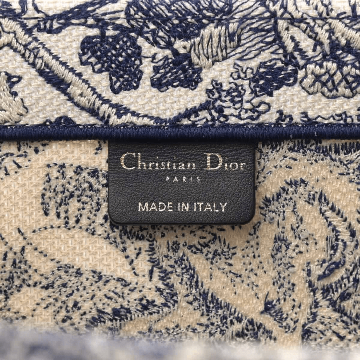 Dior Large Book Tote Bag