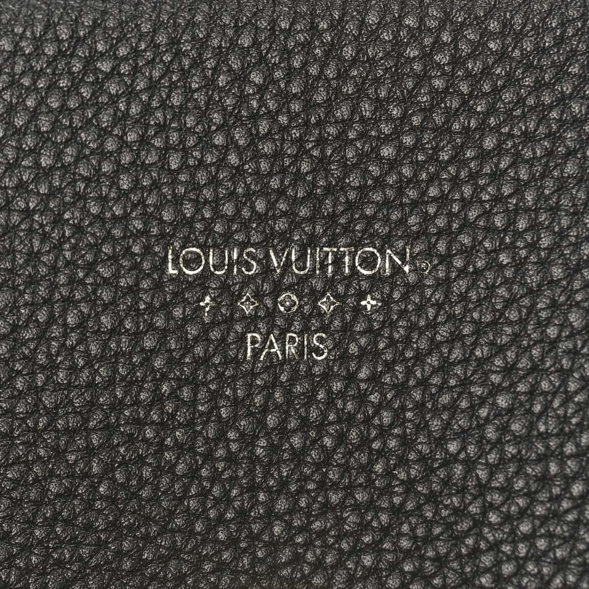 Louis Vuitton – Pont 9 Soft MM Bag