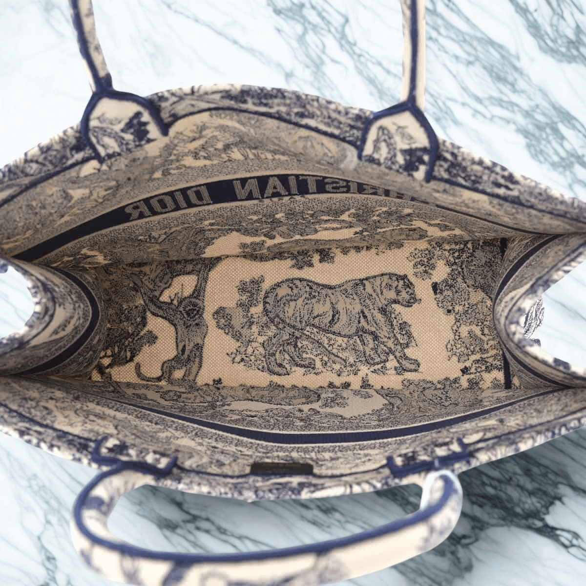 Dior Large Book Tote Bag