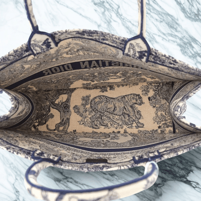 Dior Large Book Tote Bag