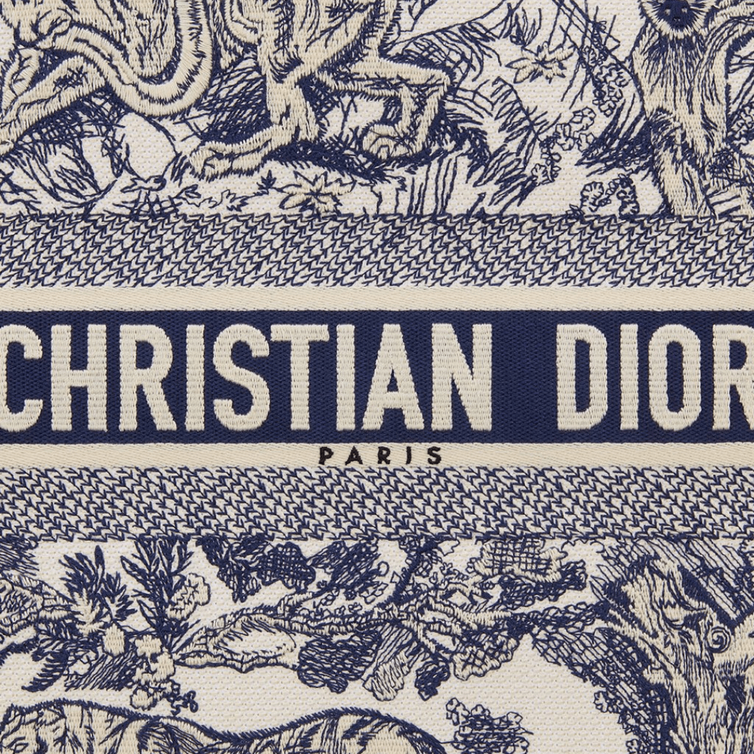 Dior Large Book Tote Bag