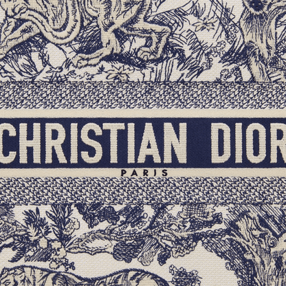 Dior Large Book Tote Bag