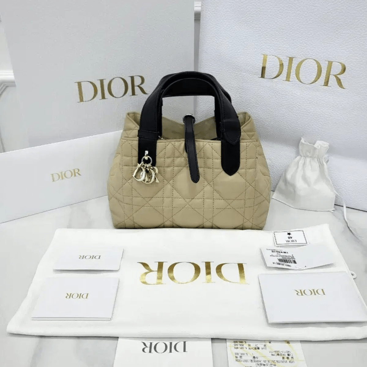 Dior Toujours Small Bag