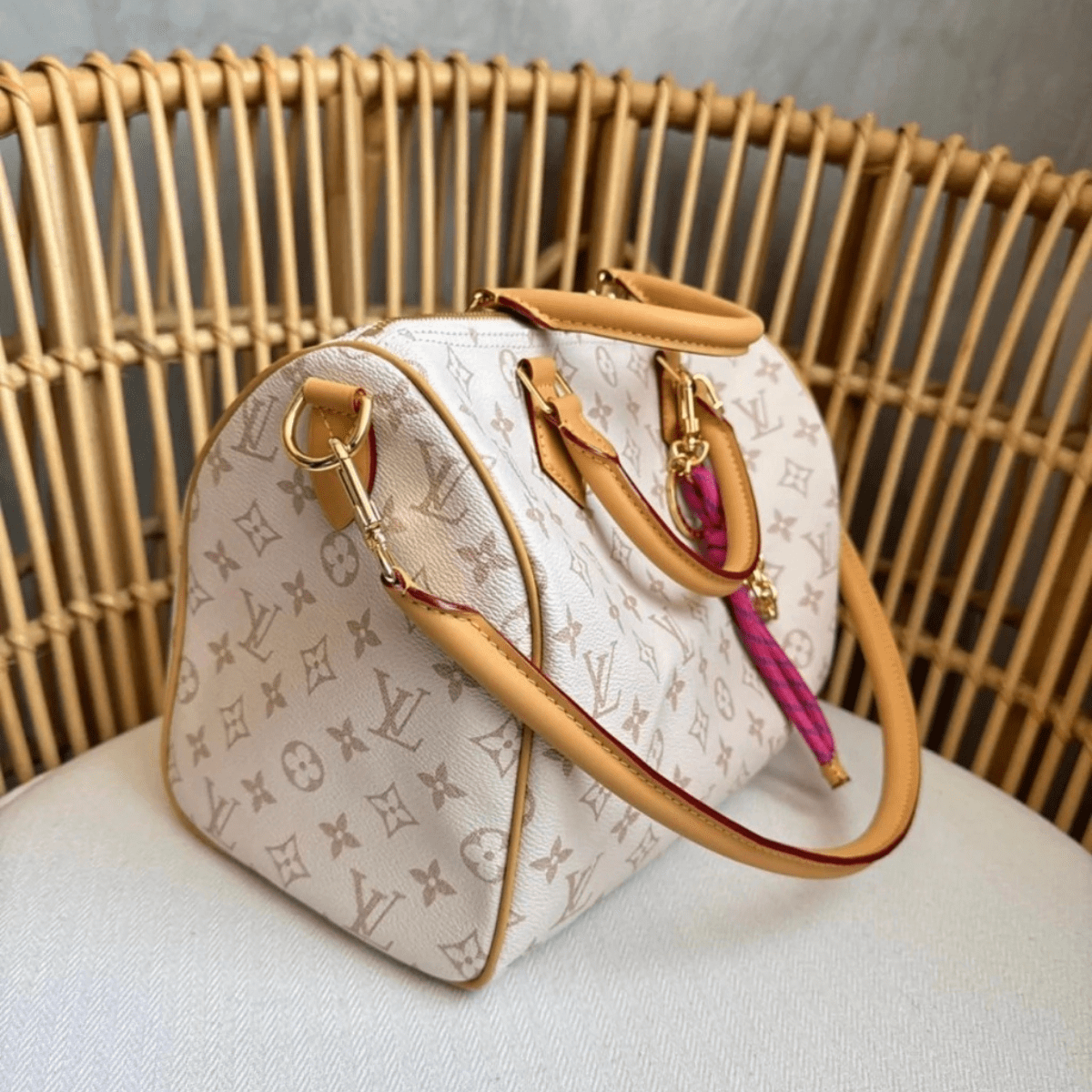 Louis Vuitton – Speedy Soft 30 Lucky bag