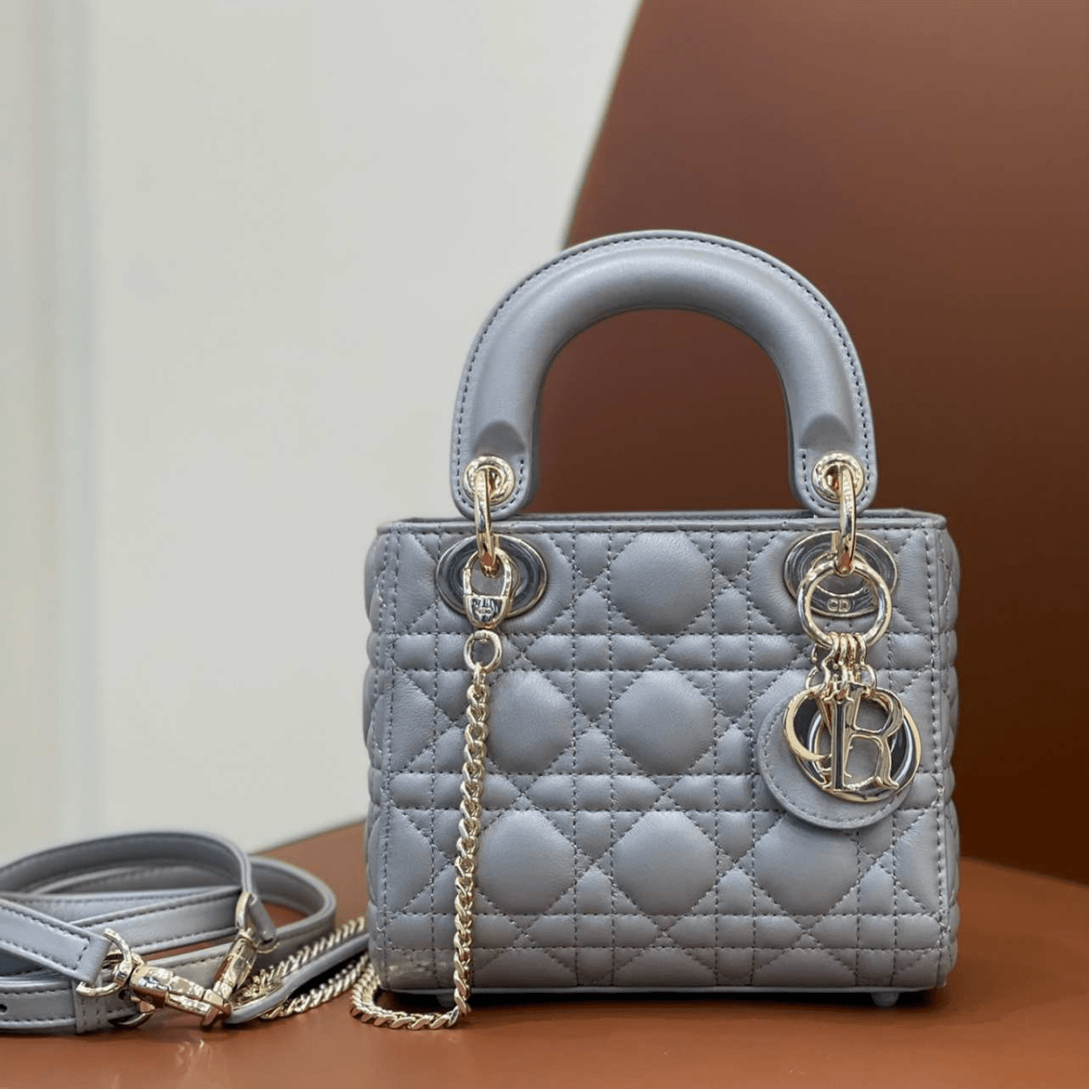 Mini Lady Dior Bag
